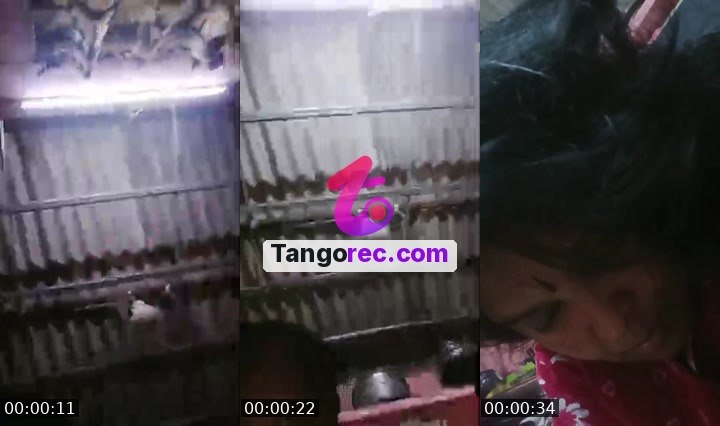 @pleasecheckmyid Tango live from 2026-09-18