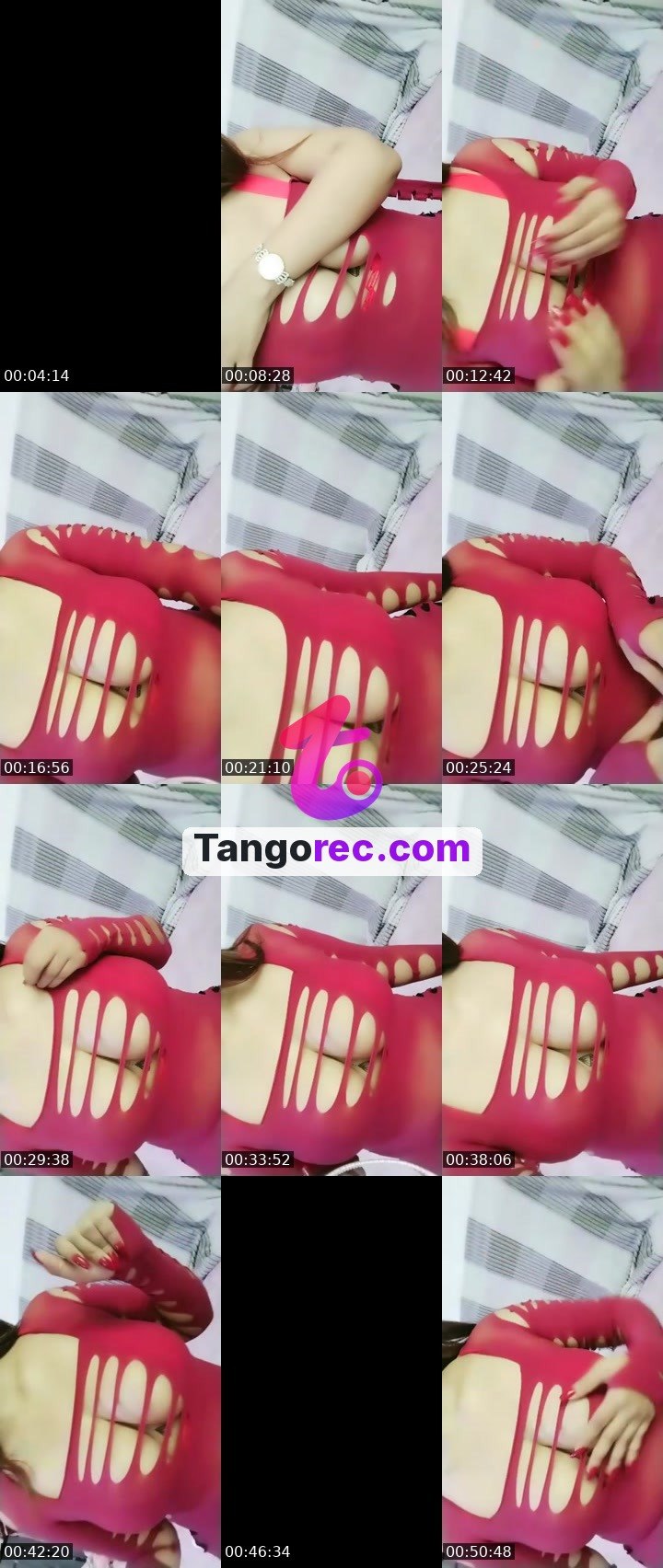 @shqawhh-1 Tango live from 2026-09-18