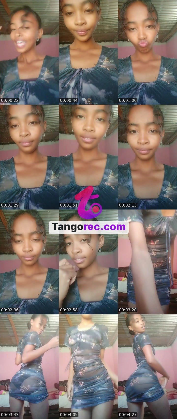 @shogundog-179634 Tango live from 2026-09-18