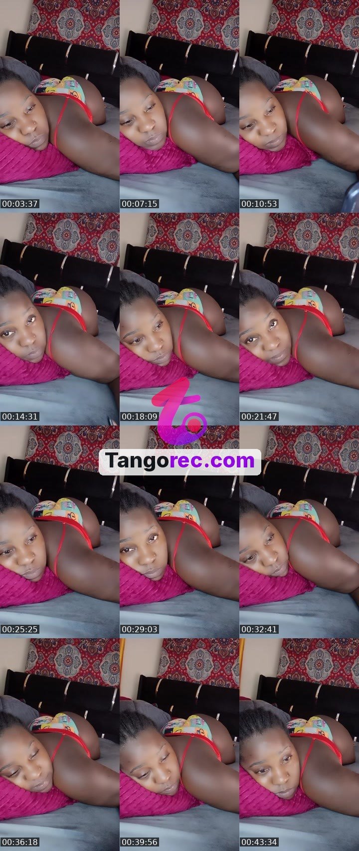 @pleasantpenguin-51426 Tango live from 2026-09-18