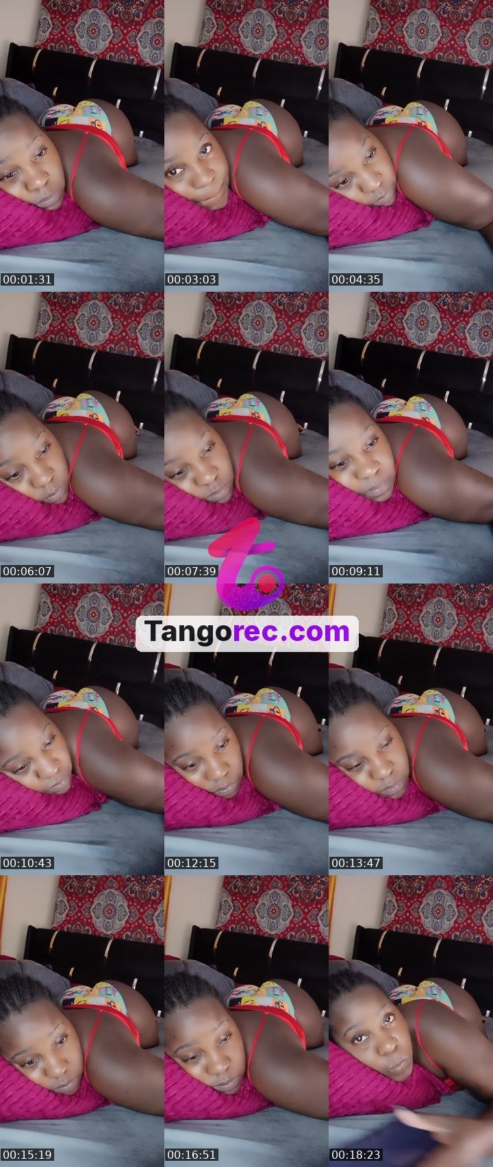 @pleasantpenguin-51426 Tango live from 2026-09-18