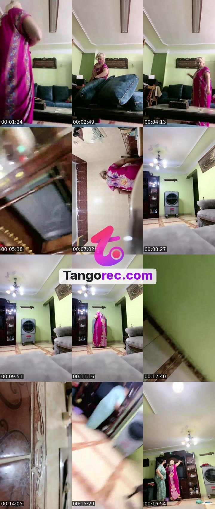 @rapidcat-100152 Tango live from 2026-09-18