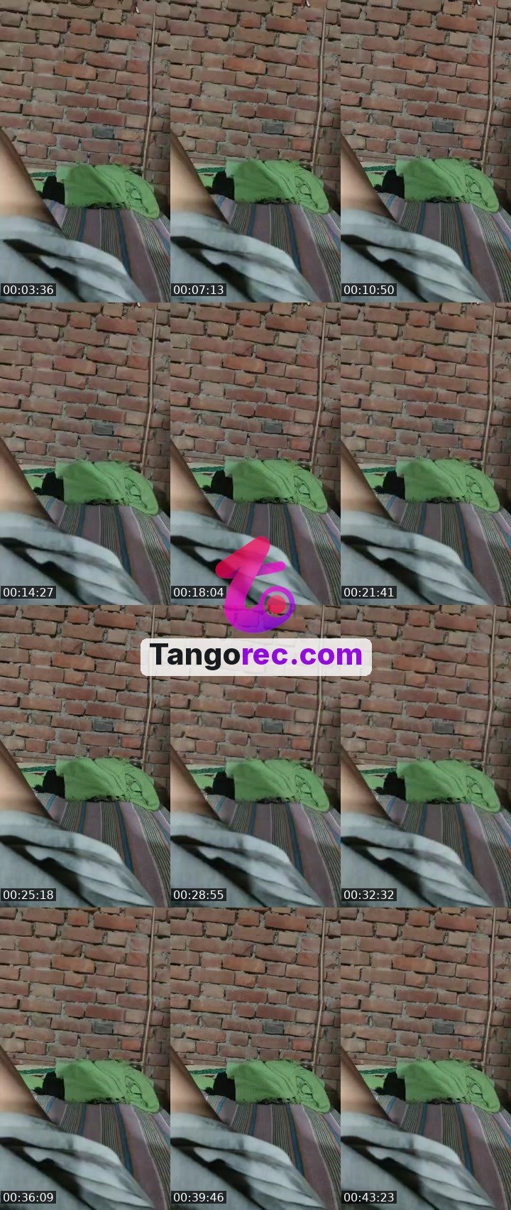 @action-hippo-303474 Tango live from 2026-09-18
