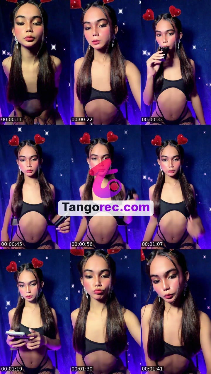 @steelstallion-603493 Tango live from 2026-09-18