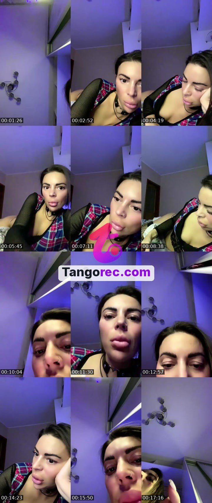 @pleasantmoose-49430 Tango live from 2026-09-19