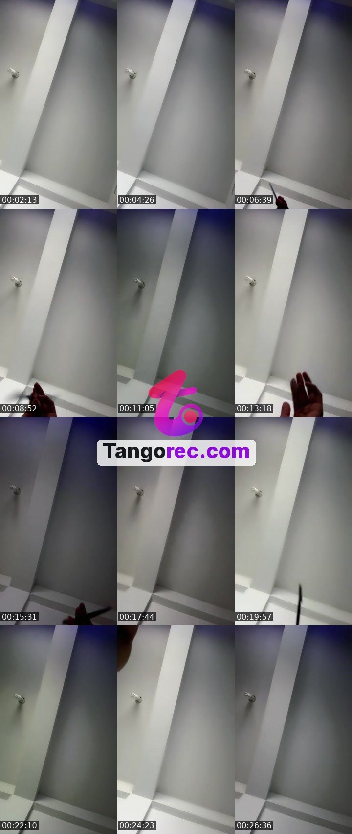 @zoe21 Tango live from 2026-09-19