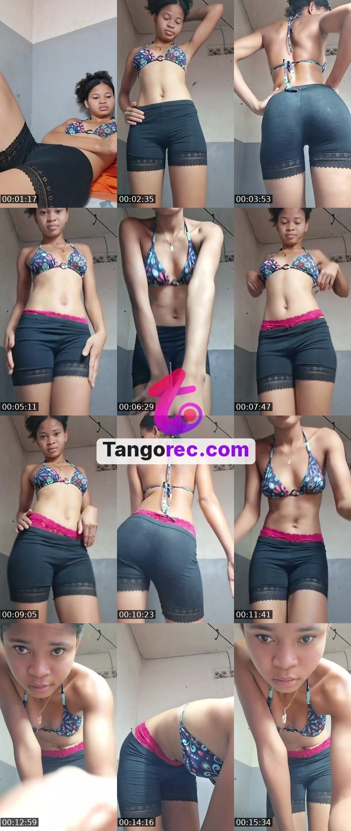 @chiefcheetah-431147 Tango live from 2026-09-19