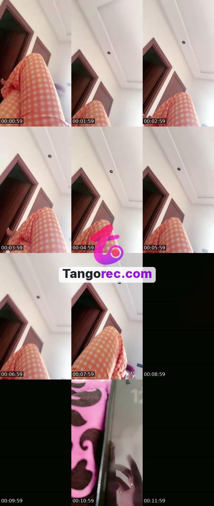 @fire-fighter-dragon-119458 Tango LIVE