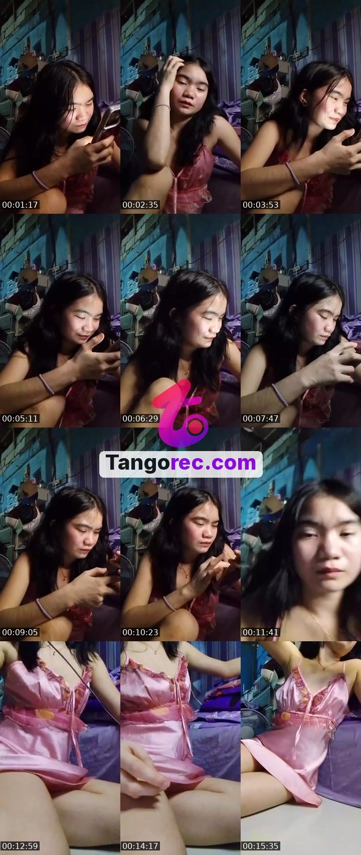 @el-three03 Tango live from 2026-09-19