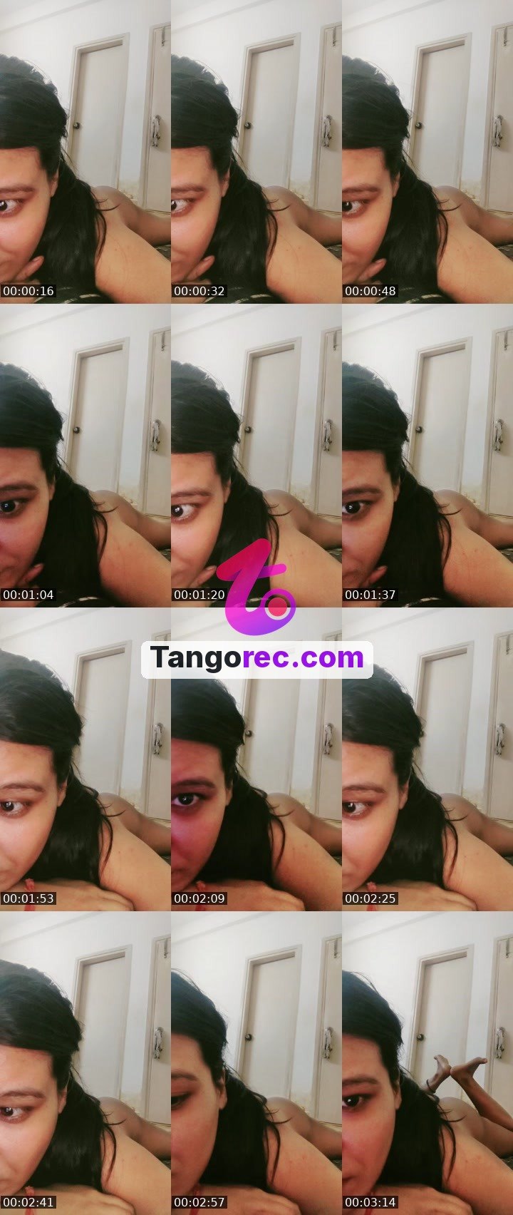 @chill-wolf-185340 Tango live from 2026-09-19
