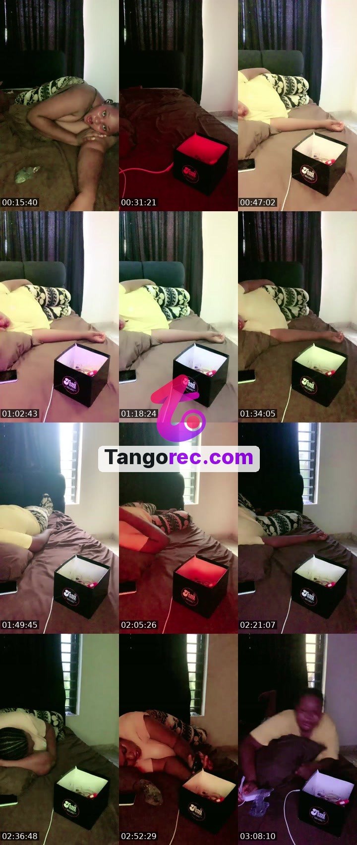@buzzyleo Tango live from 2026-09-19