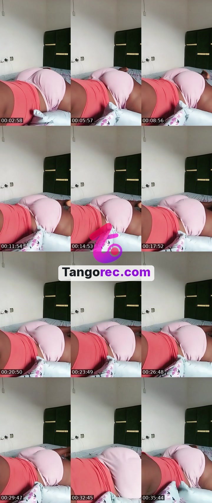 @hony884 Tango live from 2026-09-19