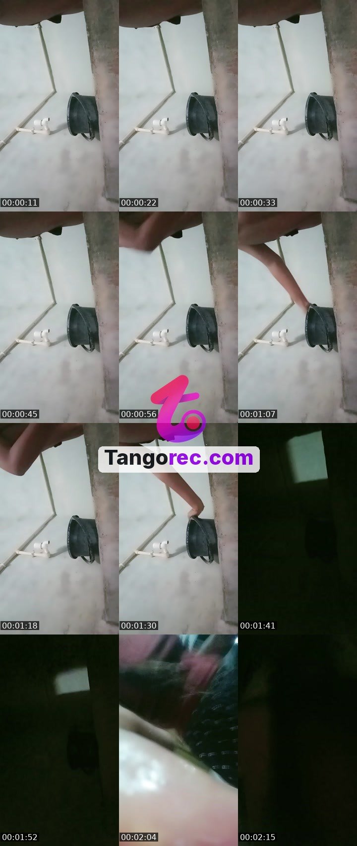 @umera786 Tango live from 2026-09-19