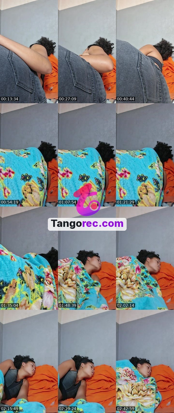 @chiefcheetah-431147 Tango live from 2026-09-19