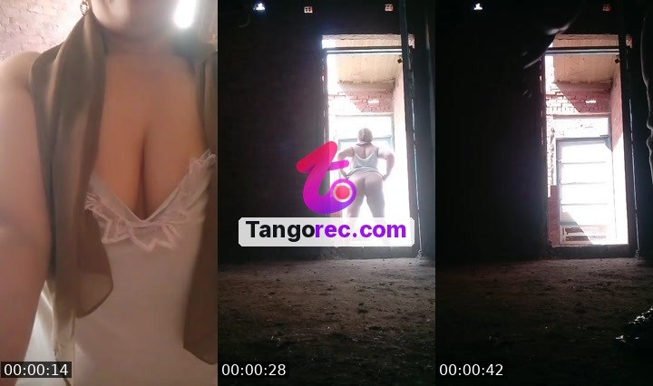 @chill-wolf-239506 Tango live from 2026-09-20