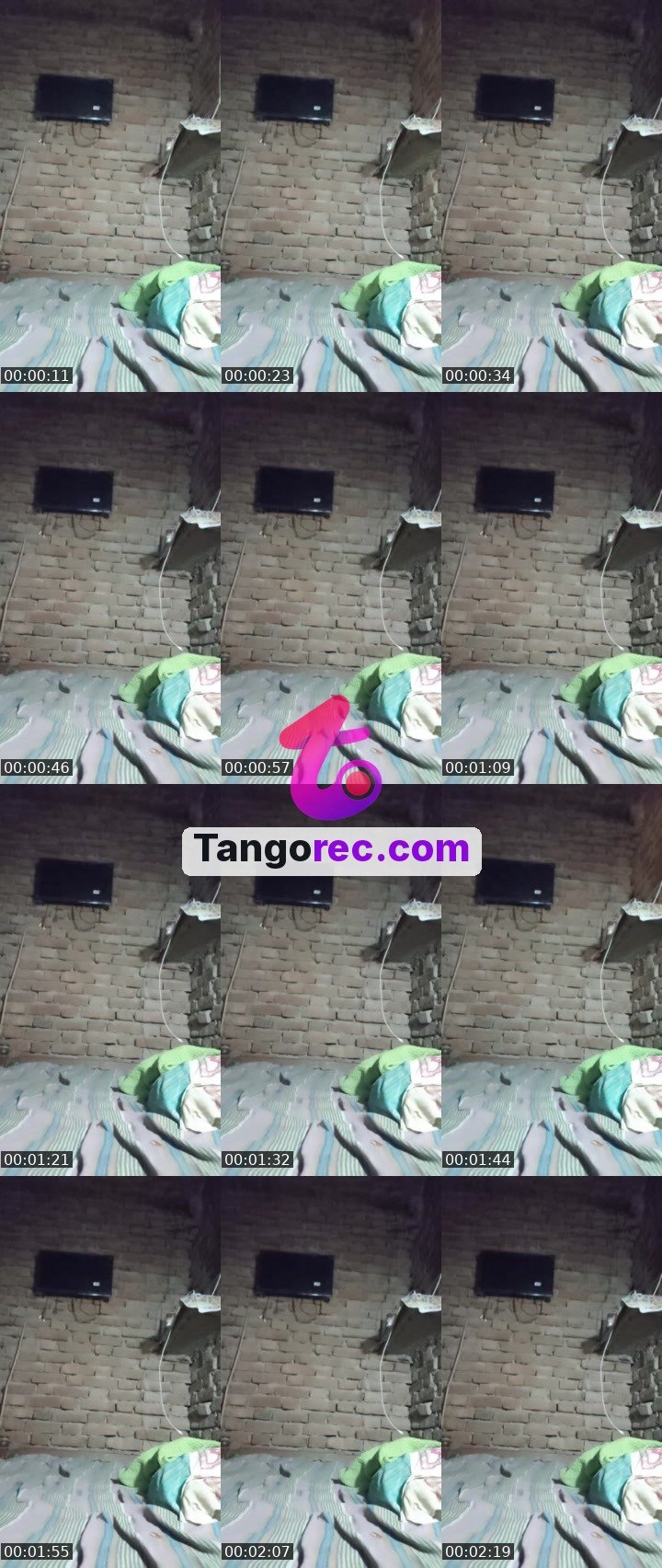 @action-hippo-303474 Tango live from 2026-09-20