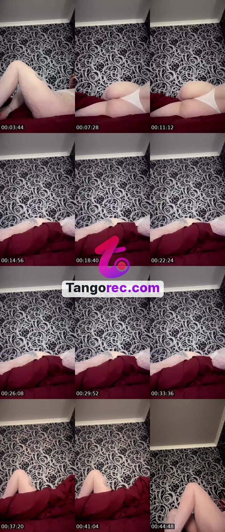 @pantera77777 Tango live from 2026-09-20