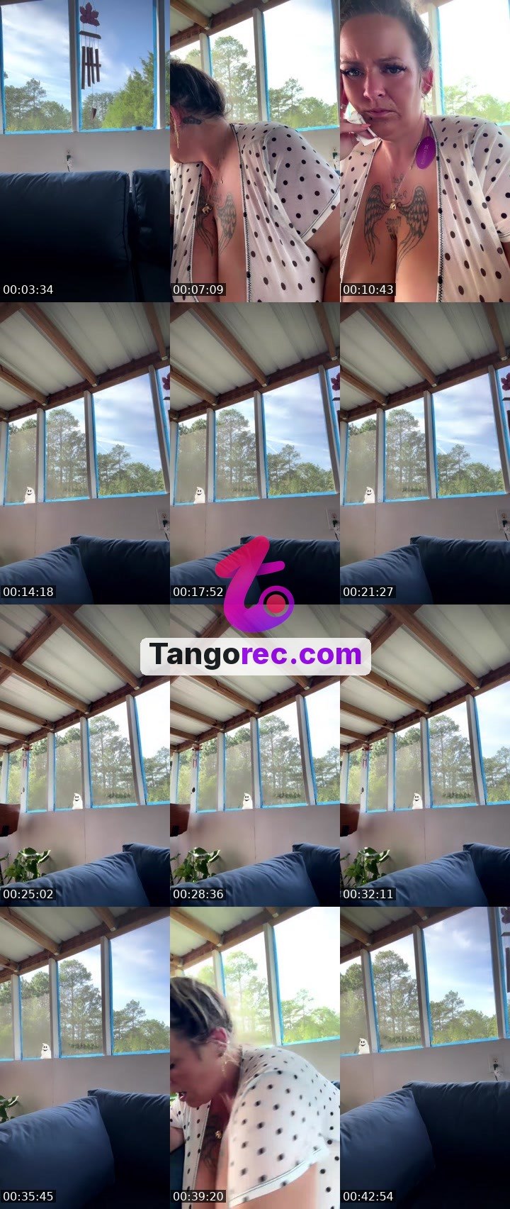 @im_her01 Tango LIVE