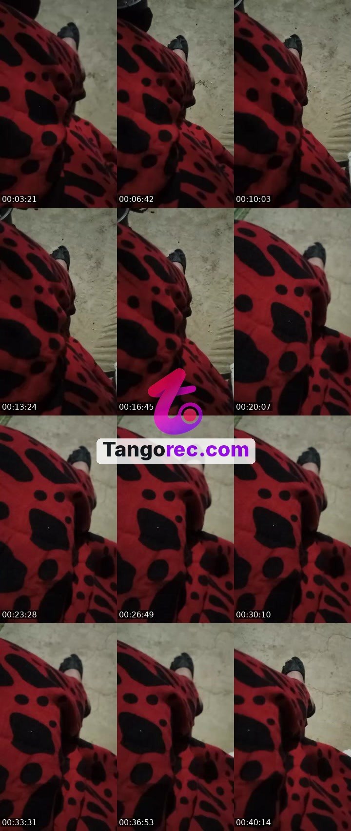 @dalal Tango live from 2026-09-20
