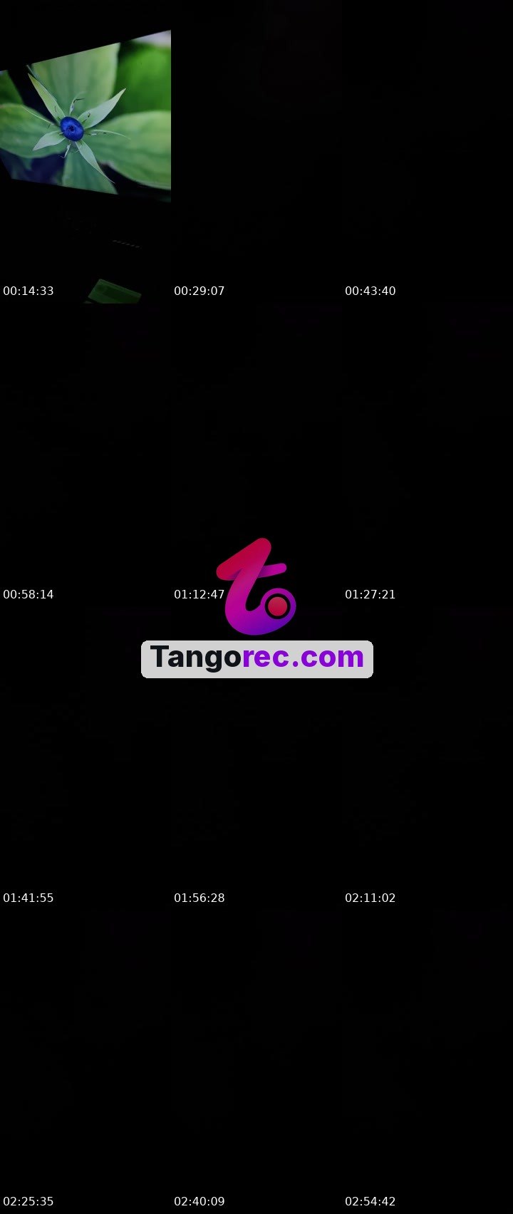 @businessbull-36853 Tango LIVE