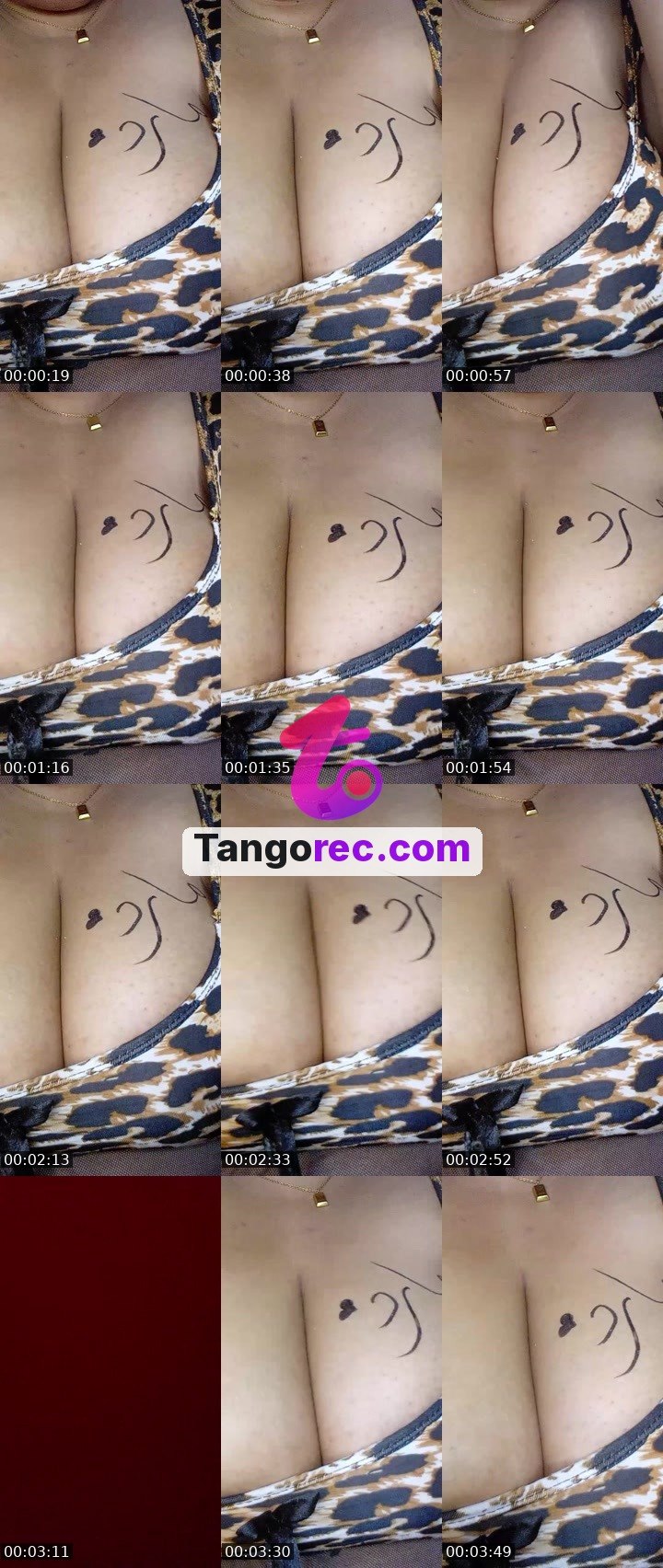 @chief-cheetah-97839 Tango live from 2026-09-21