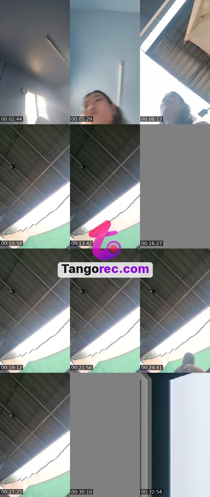 @stopwastingtime10 Tango live from 2026-09-21