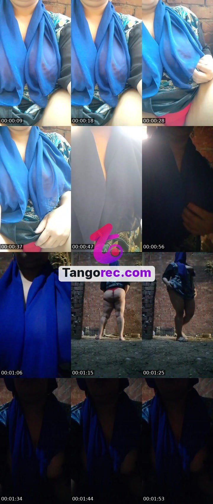 @zenelephant-259024 Tango live from 2026-09-21
