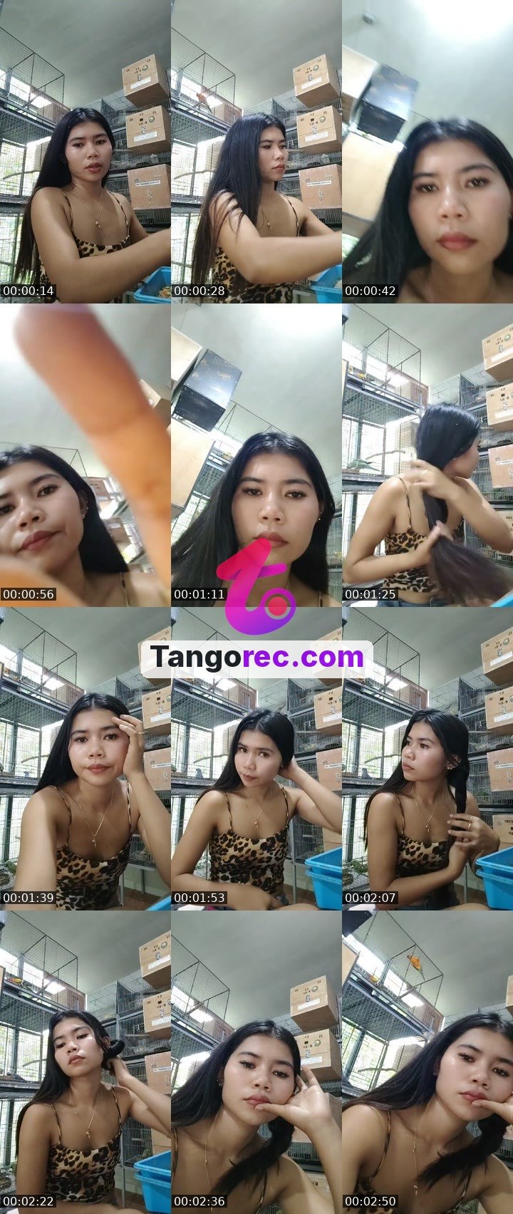 @maia405 Tango live from 2026-09-21