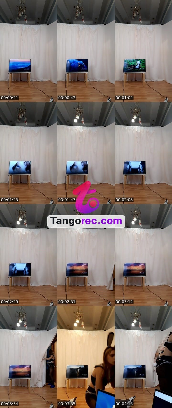 @boxing-bear-374211 Tango live from 2026-09-21