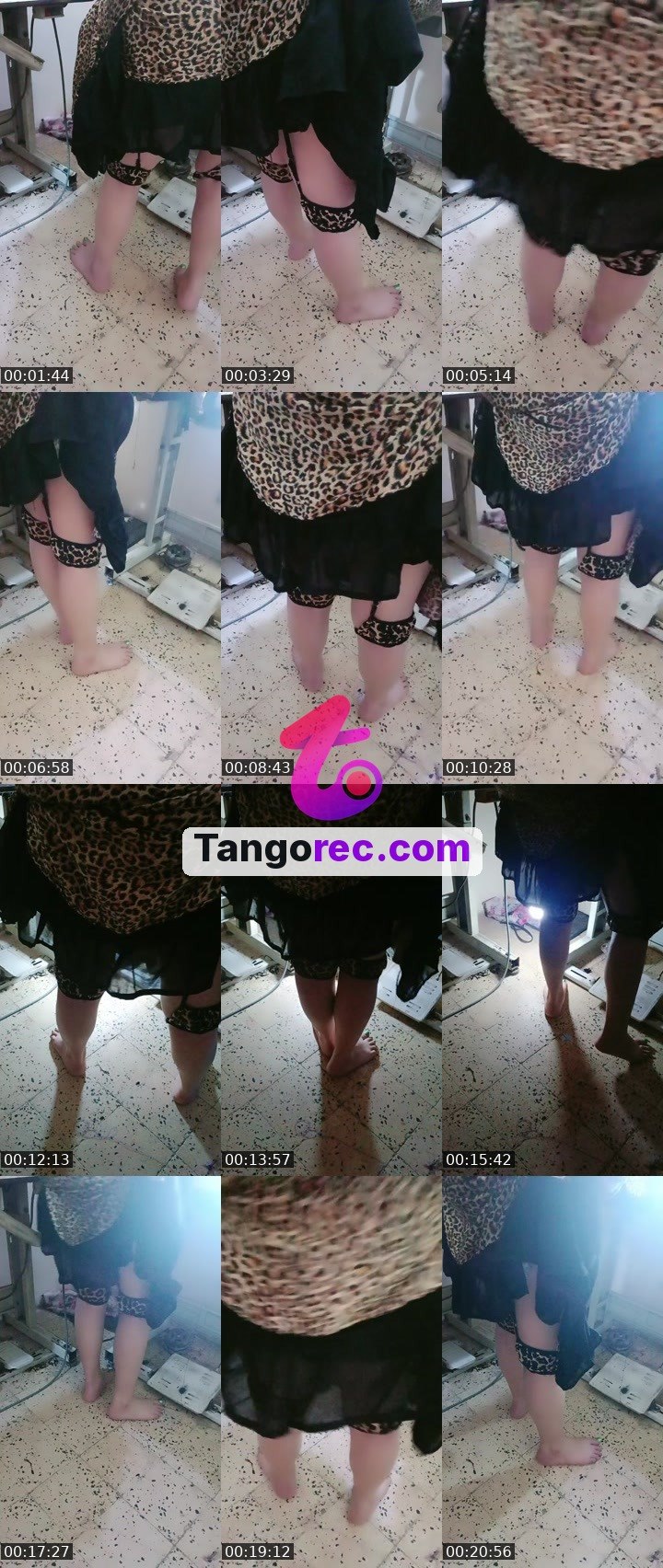 @cipherfox-192727 Tango live from 2026-09-21