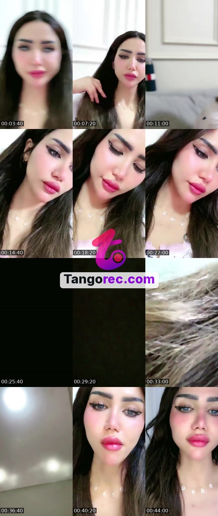 @fedwa00 Tango live from 2026-09-21