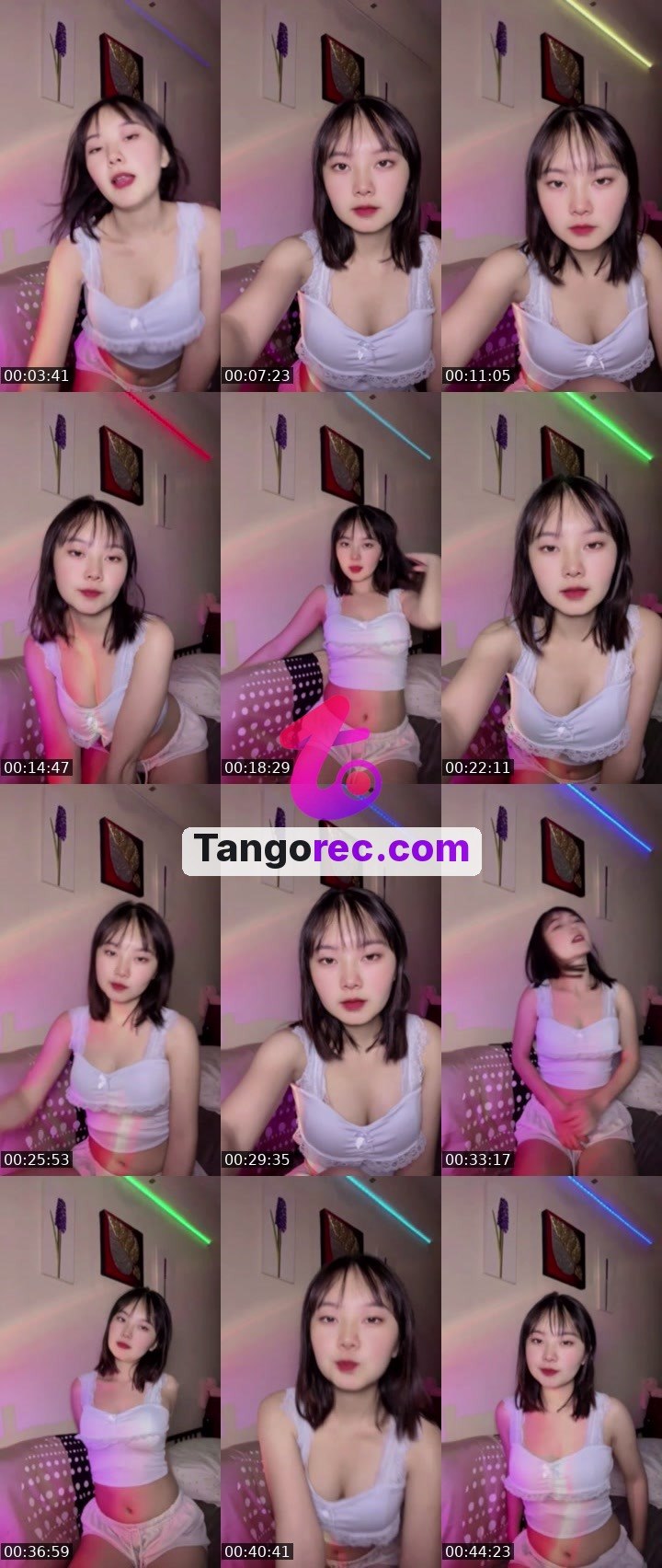 @1-1linguyen Tango live from 2026-09-21