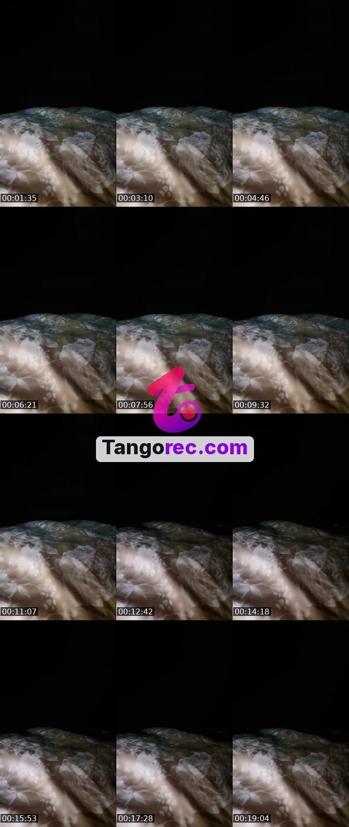 @businessbull-36853 Tango LIVE