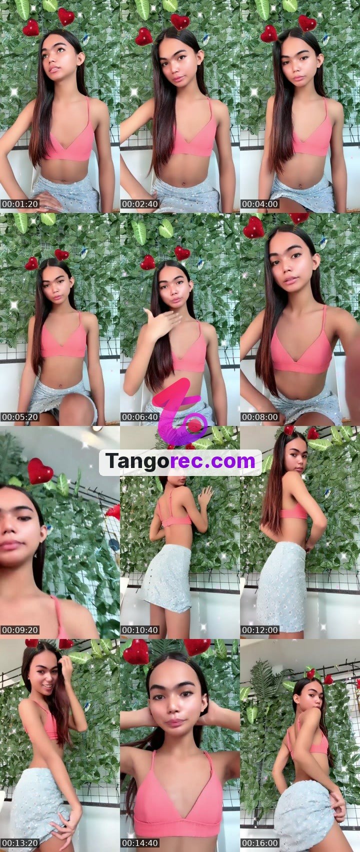 @steelstallion-603493 Tango live from 2026-09-21