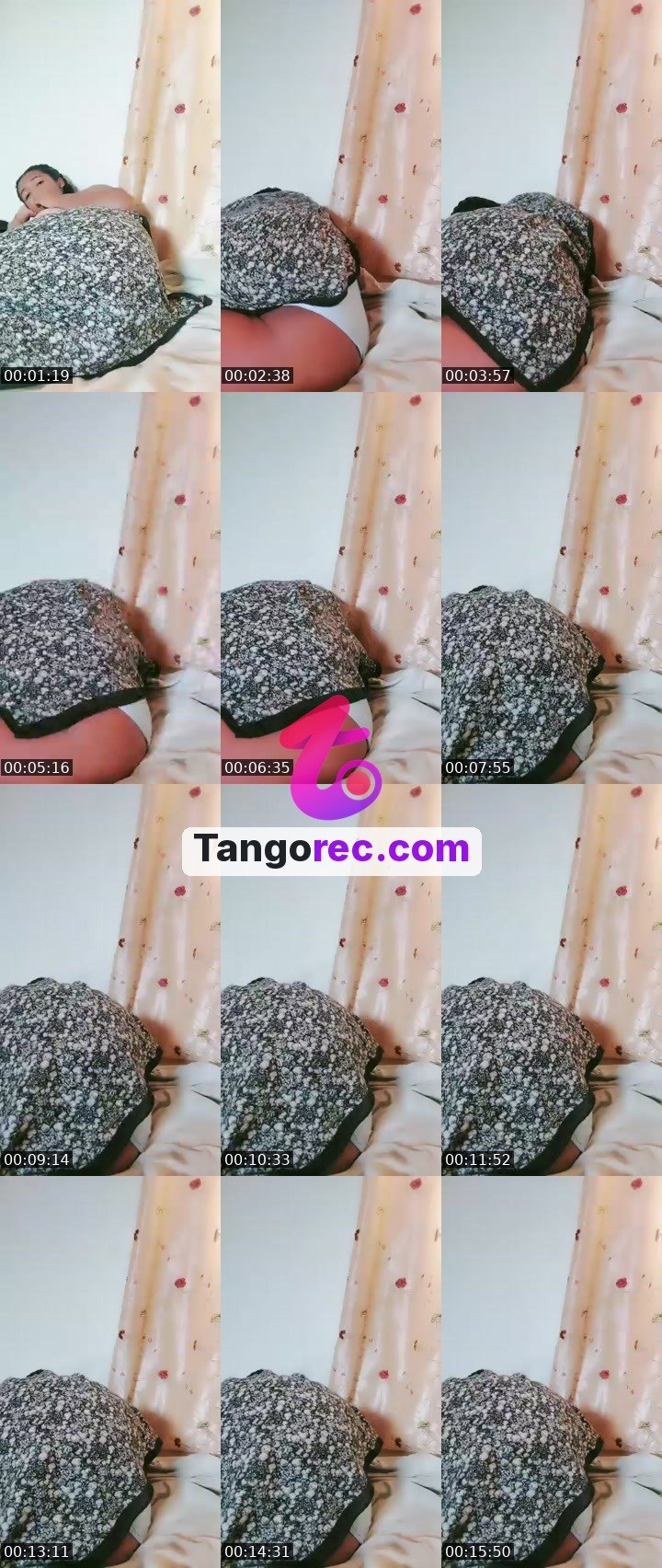 @cutebear-7204 Tango live from 2026-09-22