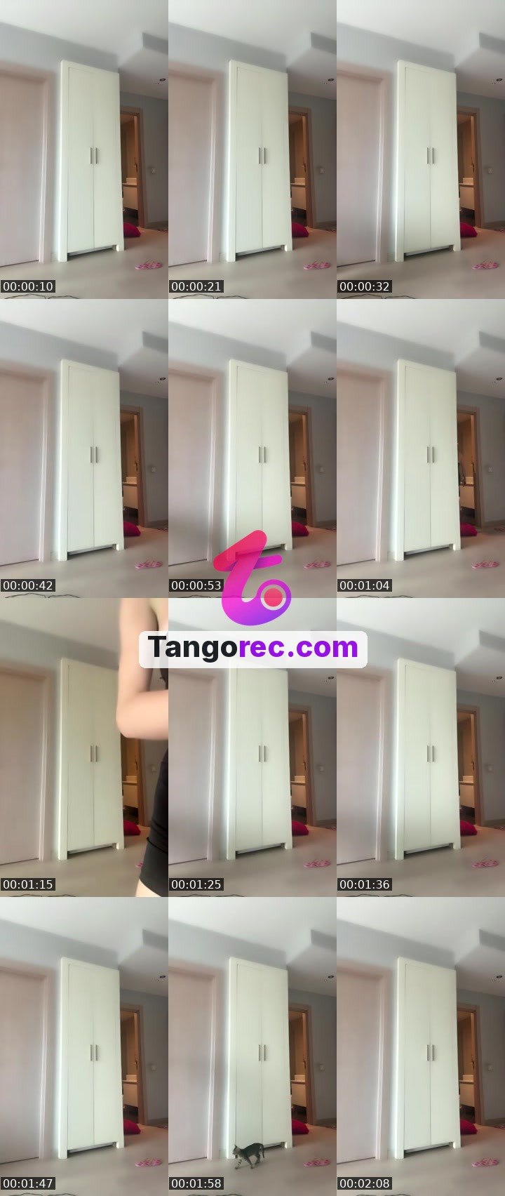 @evelina963hz Tango live from 2026-09-22