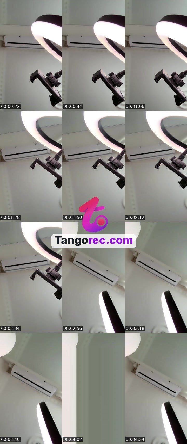 @pisipisi00 Tango live from 2026-09-22