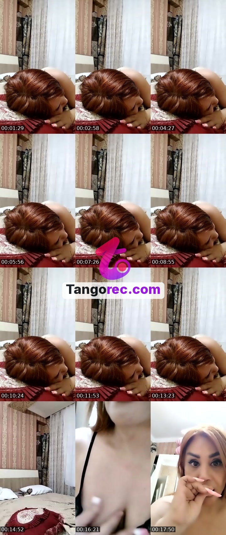 @cuteelephant-29859 Tango live from 2026-09-22