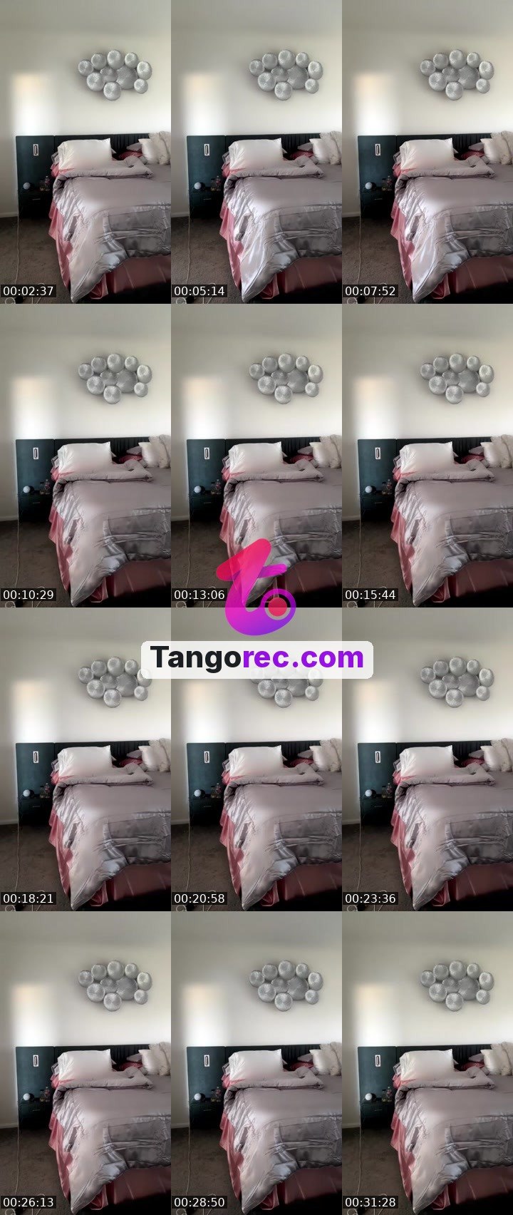 @itsvelvettah Tango live from 2026-09-22