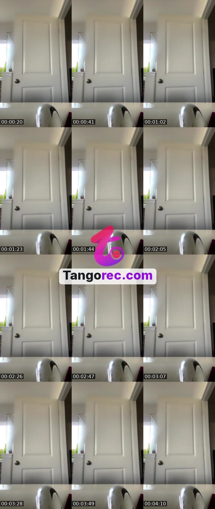 @itsvelvettah Tango live from 2026-09-22