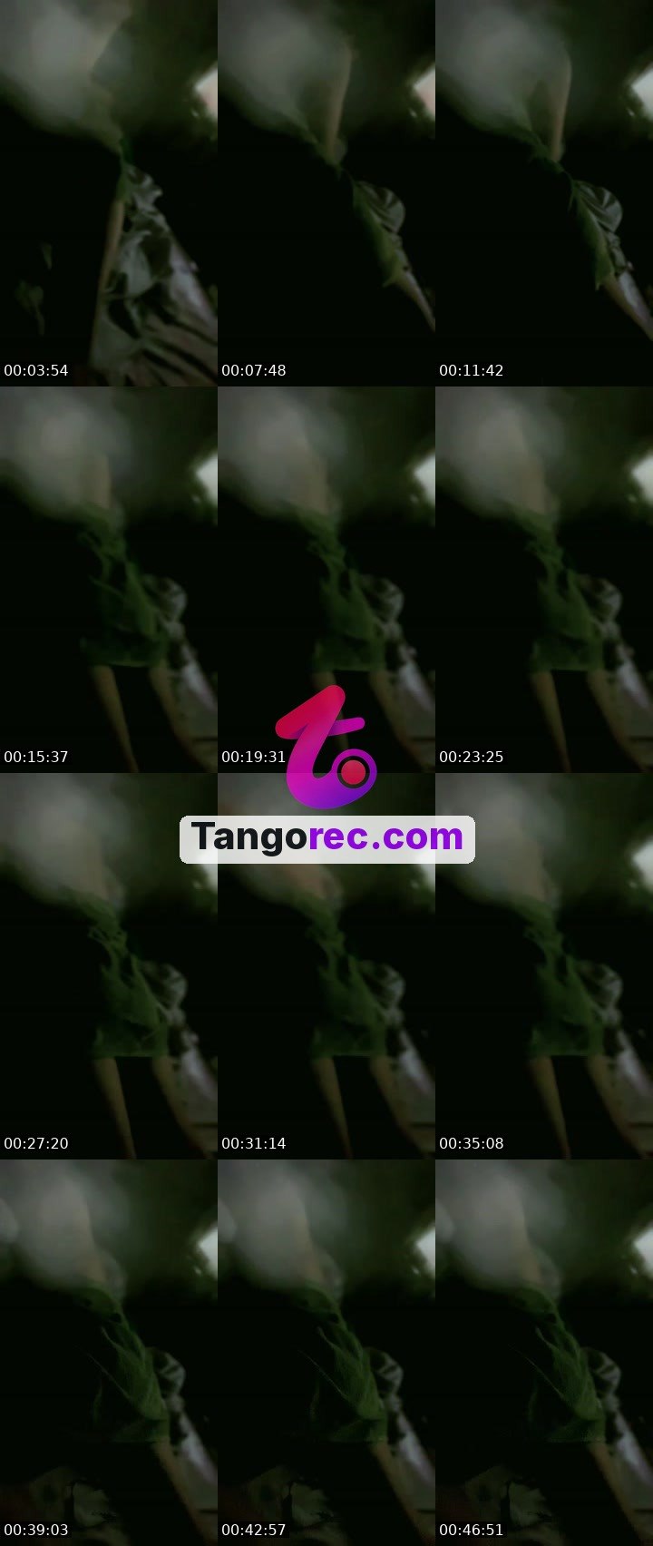 @3vvv Tango live from 2026-09-23
