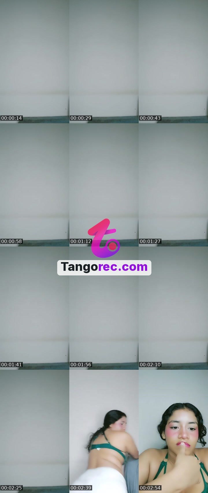 @cipherfox-222530 Tango live from 2026-09-23