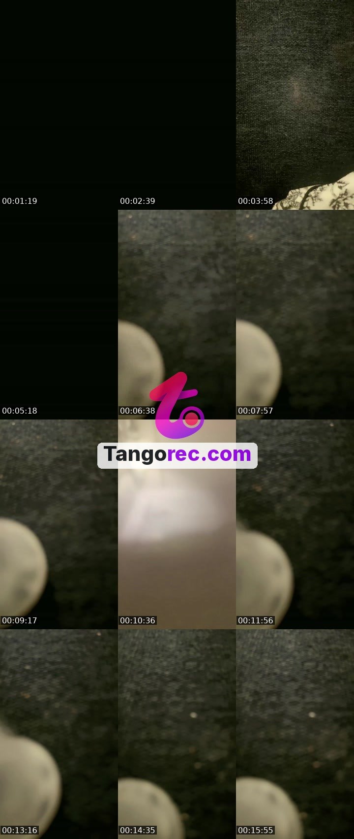@hadeel-65 Tango live from 2026-09-23