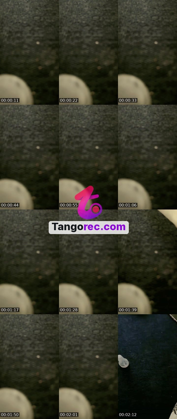 @hadeel-65 Tango live from 2026-09-23