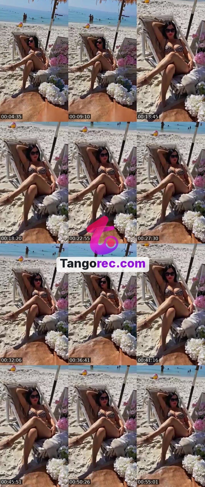 @alexandrao4o4 Tango live from 2026-09-23