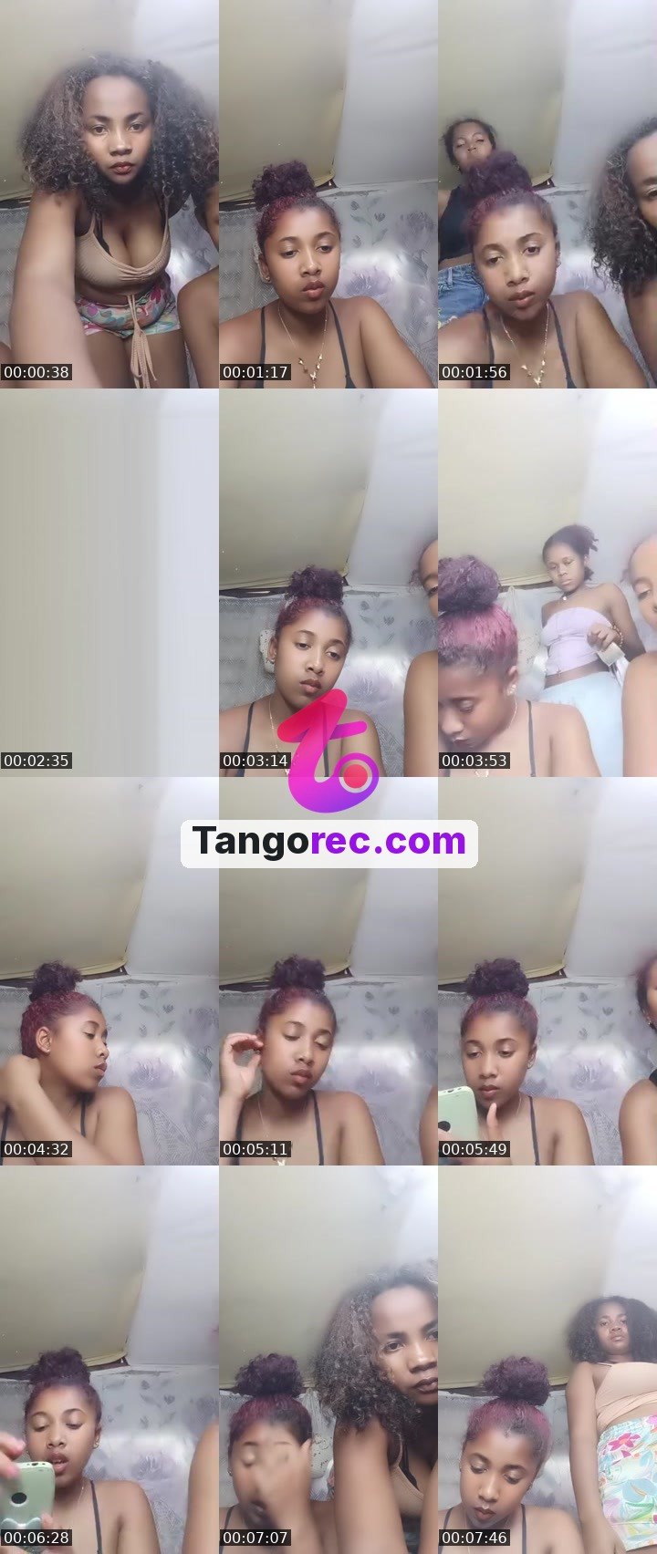 @flint-mastiff-262993 Tango live from 2026-09-23