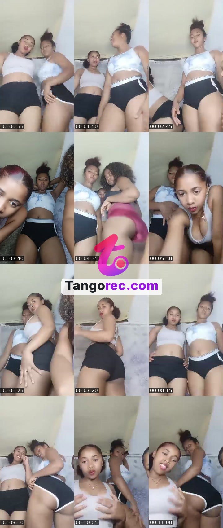 @flint-mastiff-262993 Tango live from 2026-09-24
