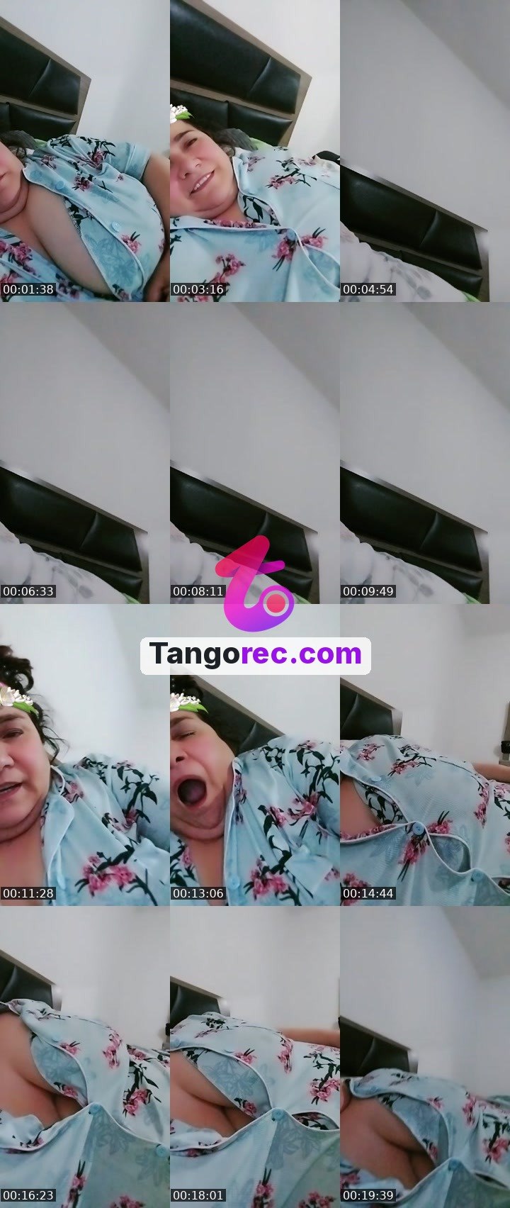 @zingollulu Tango live from 2026-09-24