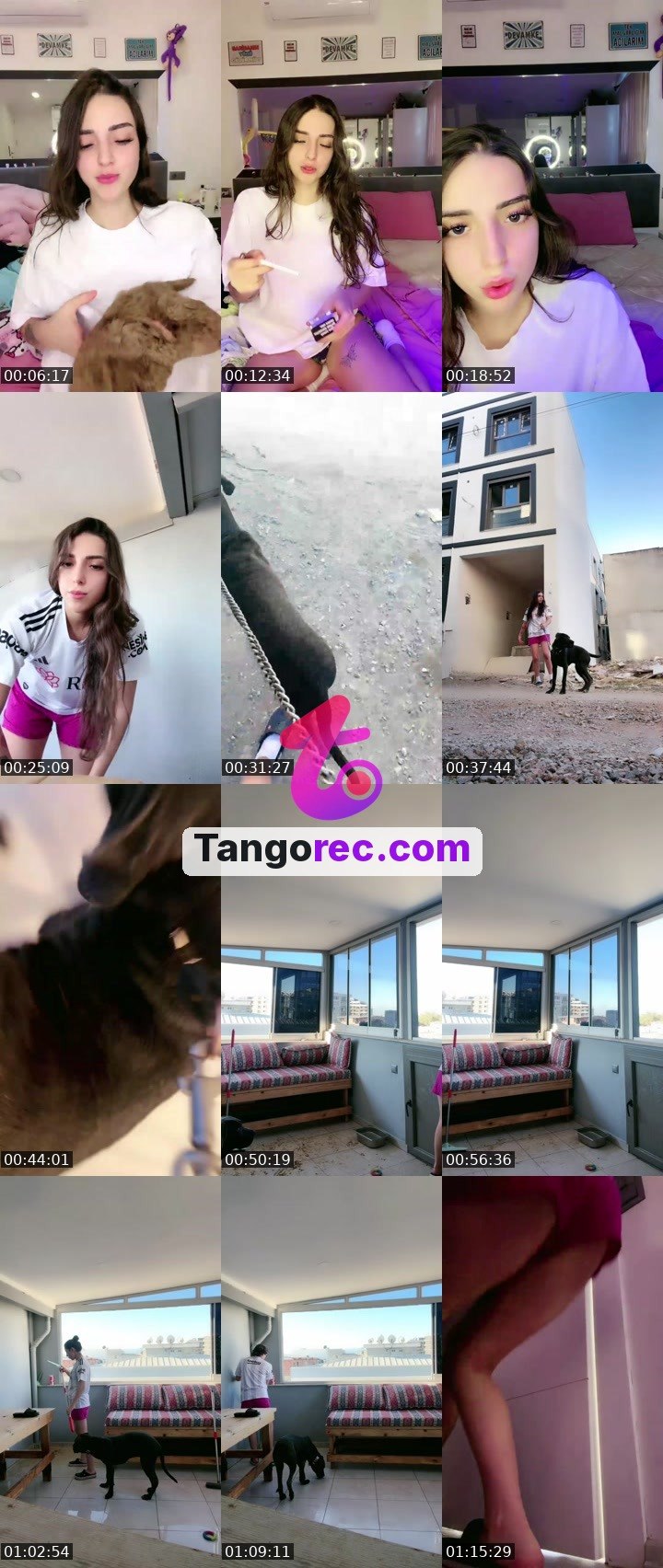 @usercik2 Tango live from 2026-09-24