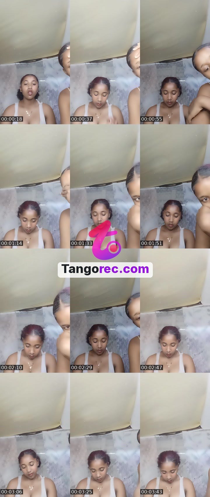 @flint-mastiff-262993 Tango live from 2026-09-24
